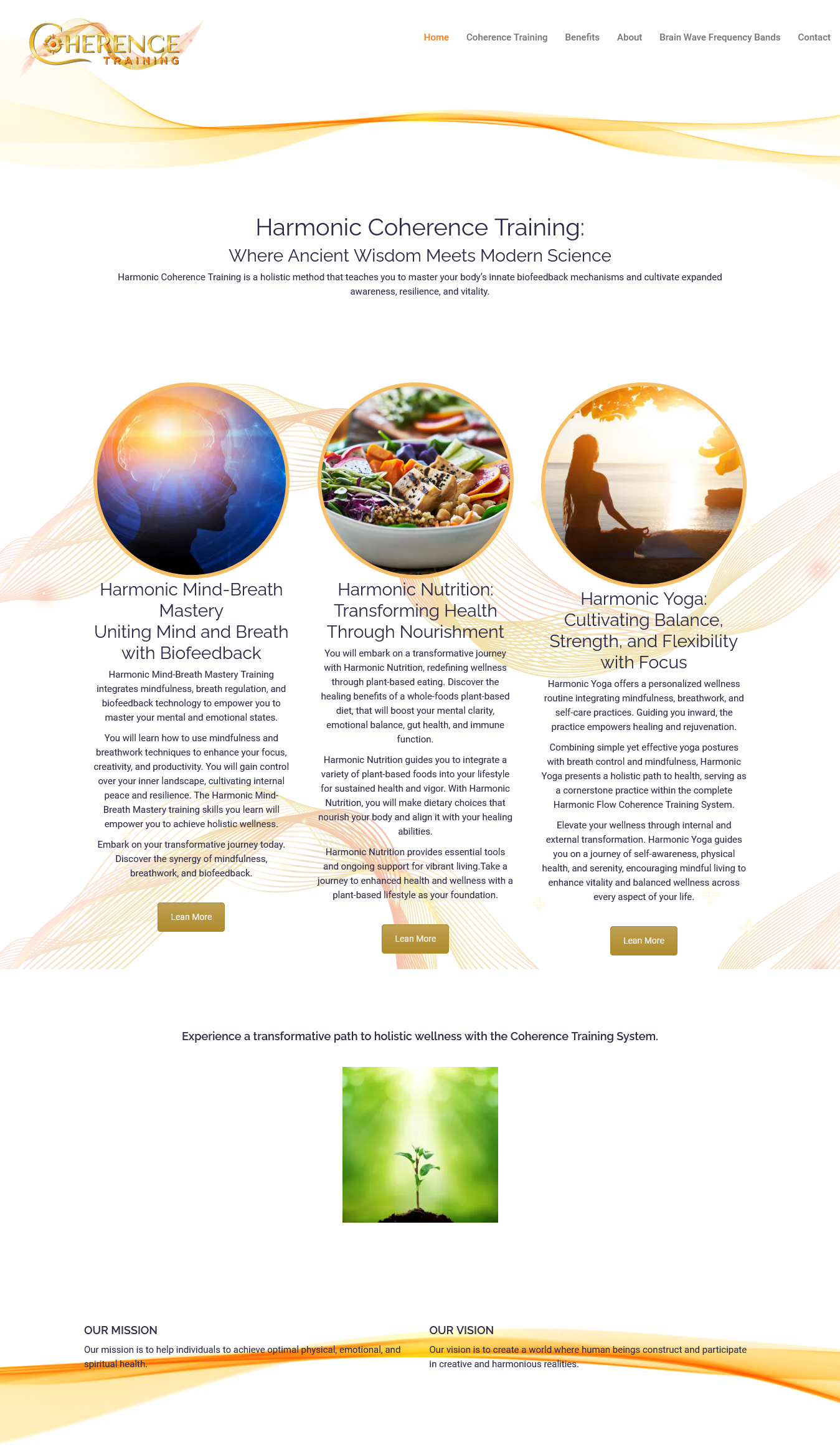 Coherence Training website